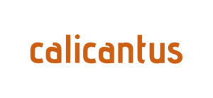 Calicantus